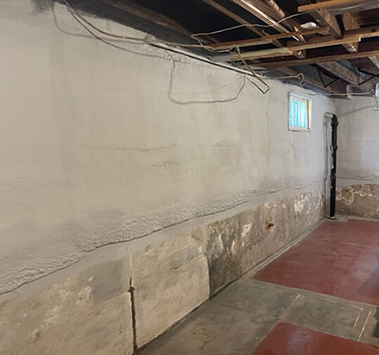 Patrick Woodcock Basement