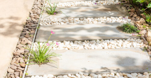 Adobe Stock 236461909