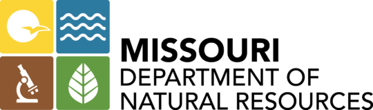 Dnrcolorlogo 3150762901